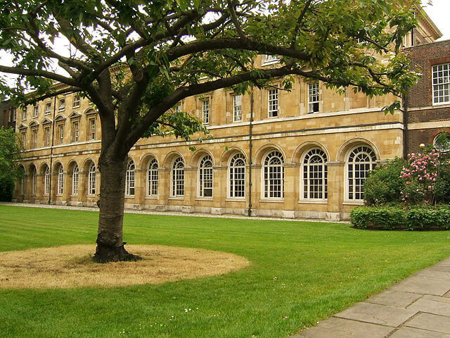 College Garden Westminster Abbey