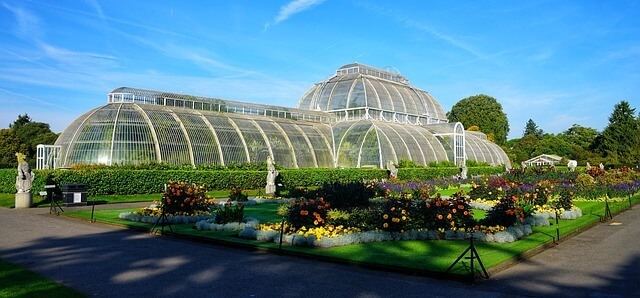 Palm House Kew Gardens
