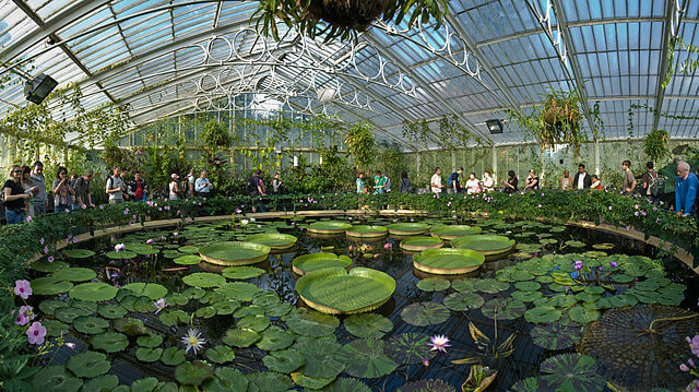 Waterlily House Kew Gardens