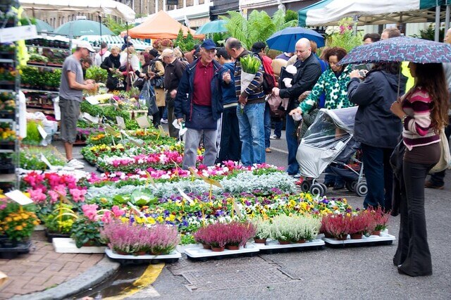 Columbia Road Market Flower